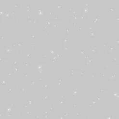 Id Glitterverf Paillett' Polar 2L