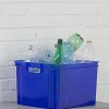 Keter Opbergbox Crownest Laserblauw 30L