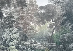 Komar Fotobehang Fairytale Forest 400X280Cm