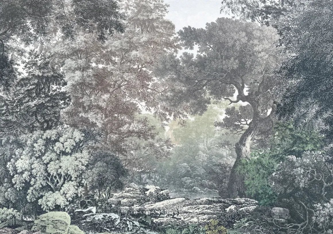 Komar Fotobehang Fairytale Forest 400X280Cm