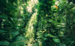 Komar Fotobehang Green Leaves
