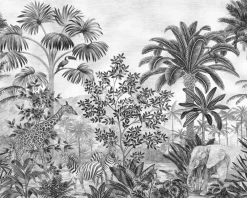Komar Fotobehang Jungle Evolution