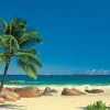 Komar Muurfoto Seychellen 270X194Cm