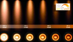 Lucide Spot Led Taylor Zwart 2X5W