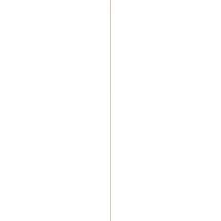 Mdf-Paneel Wit Gelakt 3Mm 122X61Cm