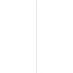 Mdf-Plaat Gelakt 1-Zijdig Wit 244X122Cm 3Mm