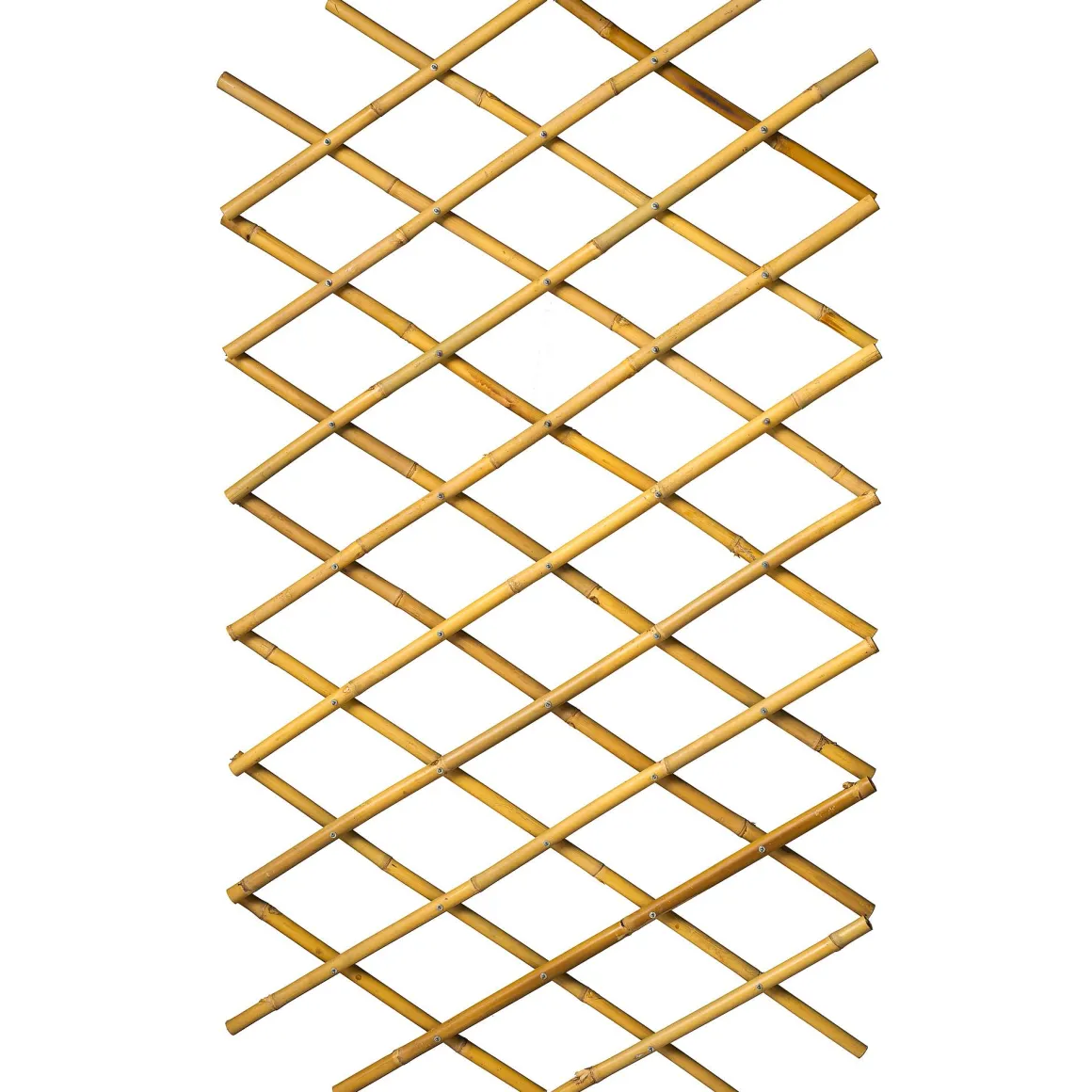 Nature Bamboeklimrek 70X180Cm