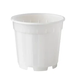 Nature Orchideeen Pot Transparant O12Cm