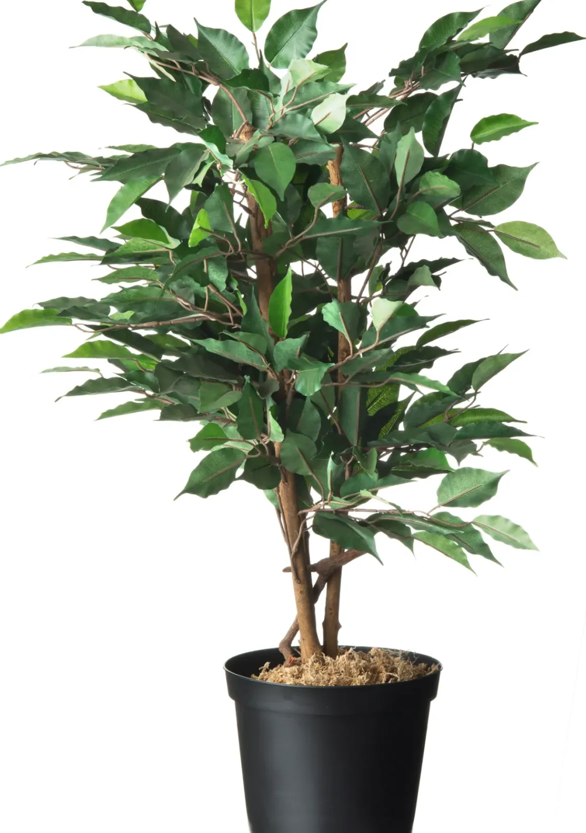 Nature Tuinplantcontainer 10L O28,4X22Cm