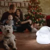 Newgarden Klaus 30 Play & Light Bluetooth Speaker