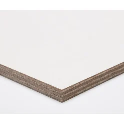 Paintplex Multiplex Plaat 122X244Cm 12Mm