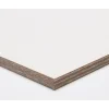 Paintplex Multiplex Plaat 122X244Cm 9Mm