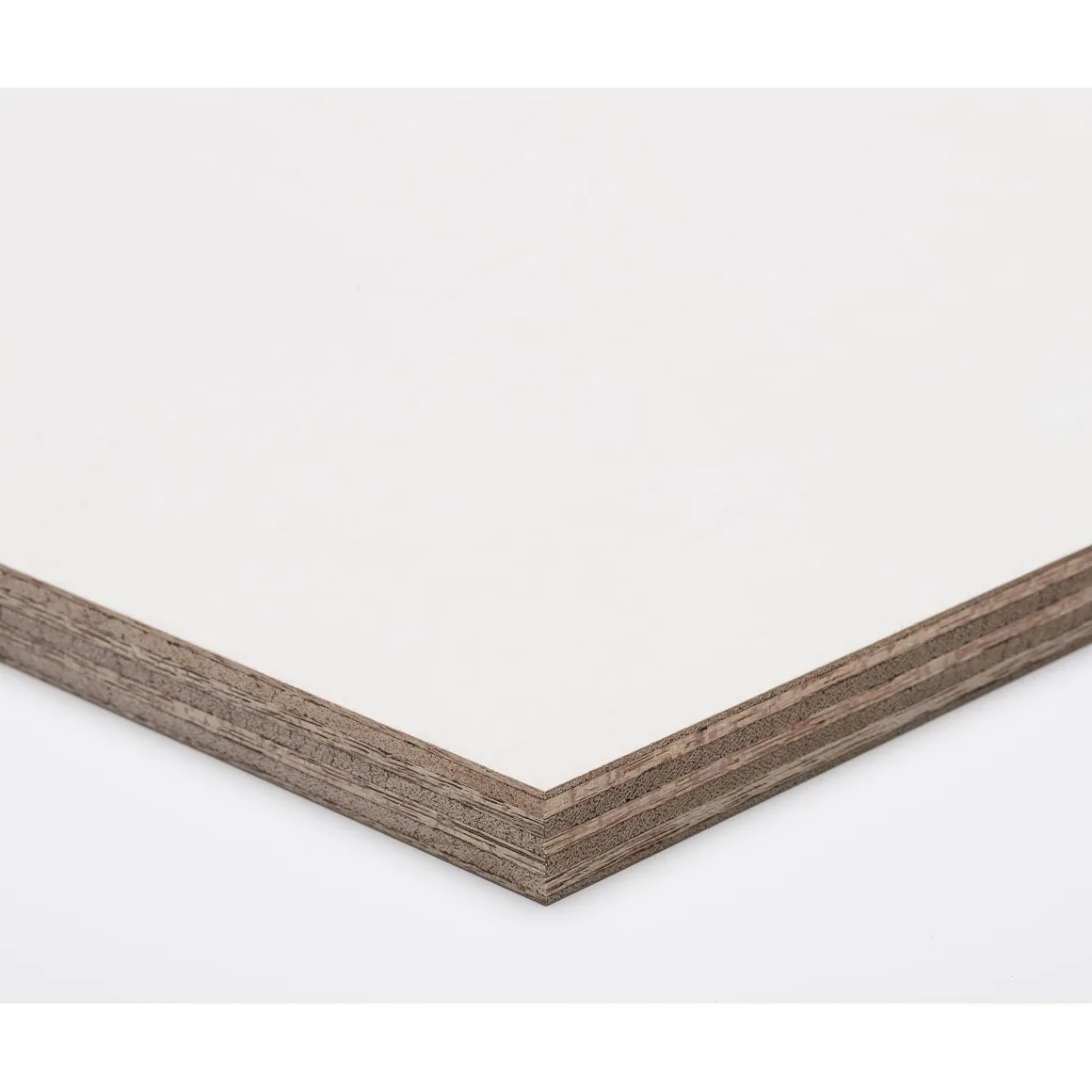 Paintplex Multiplex Plaat 122X244Cm 9Mm