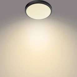 Philips Plafondlamp Doris Zwart O31,3Cm 17W