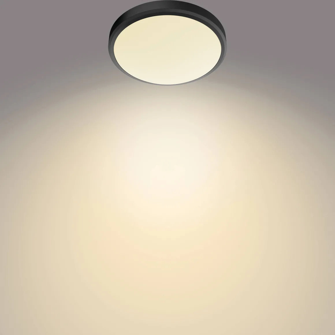Philips Plafondlamp Doris Zwart O31,3Cm 17W