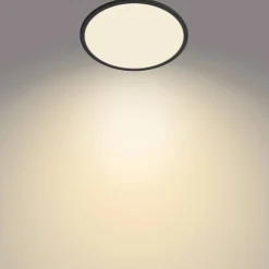 Philips Plafondlamp Superslim Zwart O30Cm 18W