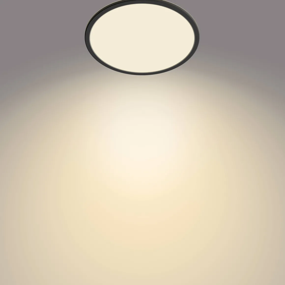 Philips Plafondlamp Superslim Zwart O30Cm 18W