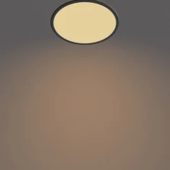 Philips Plafondlamp Superslim Zwart O30Cm 18W