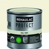 Renaulac Lak Protect Ral9001 Mat 250Ml