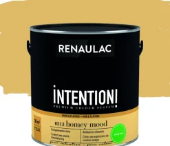Renaulac Muur- En Plafondverf Intention Homey Mood Extra Mat 2,5L