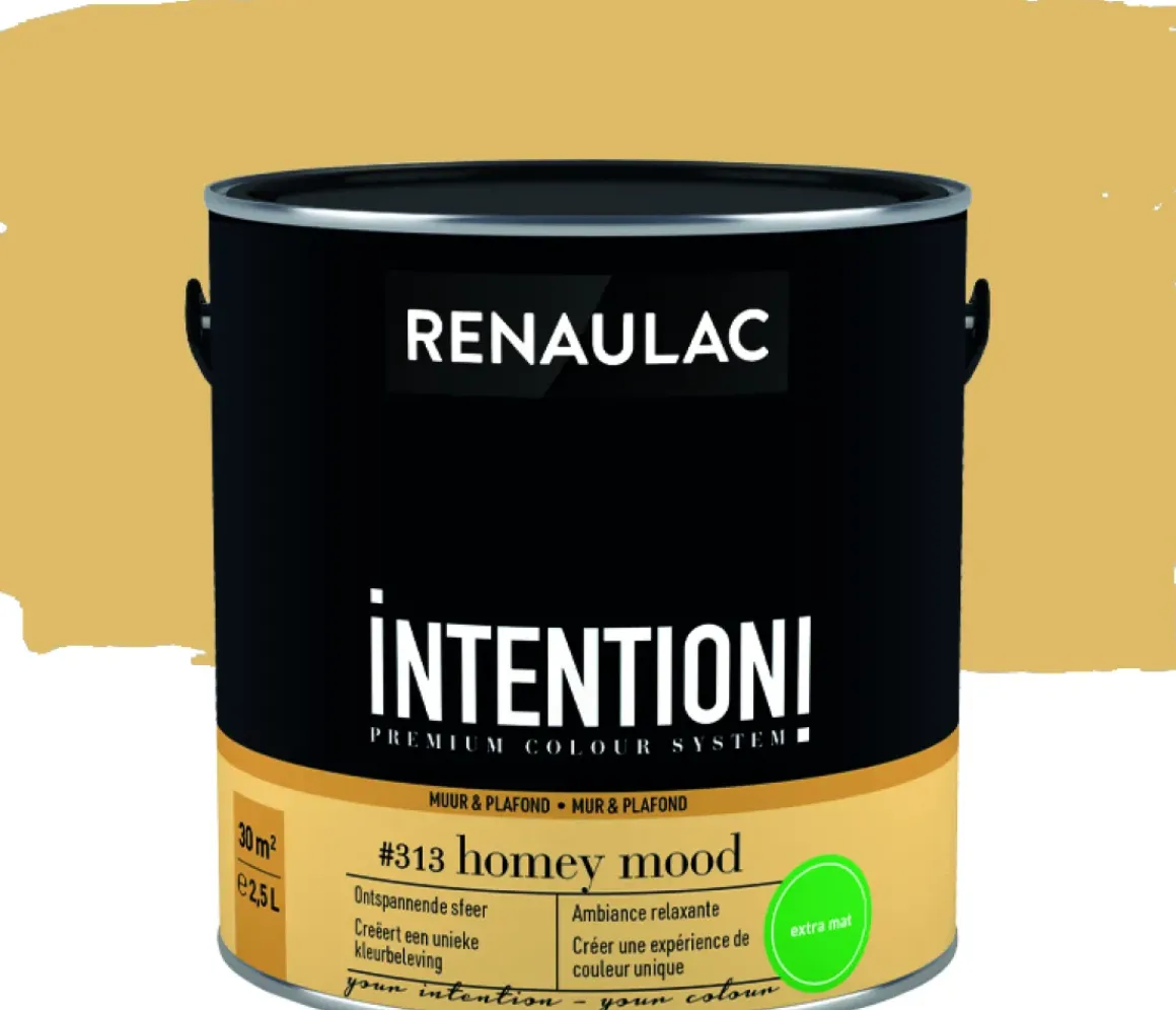 Renaulac Muur- En Plafondverf Intention Homey Mood Extra Mat 2,5L
