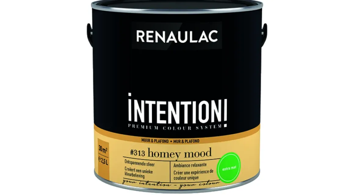 Renaulac Muur- En Plafondverf Intention Homey Mood Extra Mat 2,5L