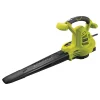 Ryobi Elektrische Bladblazer Rbv3000Csv 3000 W