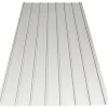 Scala Plastics Profielplaat Gelakt Zink