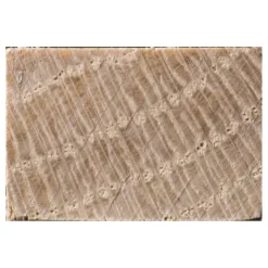 Schaaflat Eiken 12X18Mm 240Cm