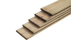 Schuttingplank Geimpregneerd 1,6X14X180Cm