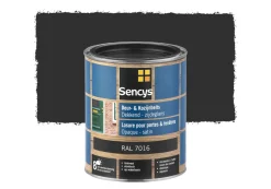 Sencys Beits Ramen En Deuren Dekkend Zijdeglans Ral7016 0,75L