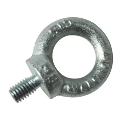 Sencys Ringbout Gegalvaniseerd M8 20Mm 1 Stuk