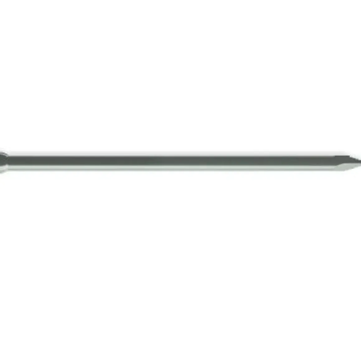 Sencys Spijker Met Verloren Kop Gegalvaniseerd Staal 30 X 1,6 Mm - 400 Stuks