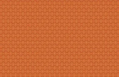 Seventies Fotobehang S714C9