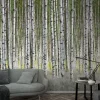 Smart Art Fotobehang Berkenbos