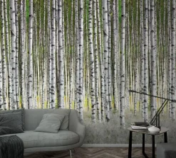 Smart Art Fotobehang Berkenbos
