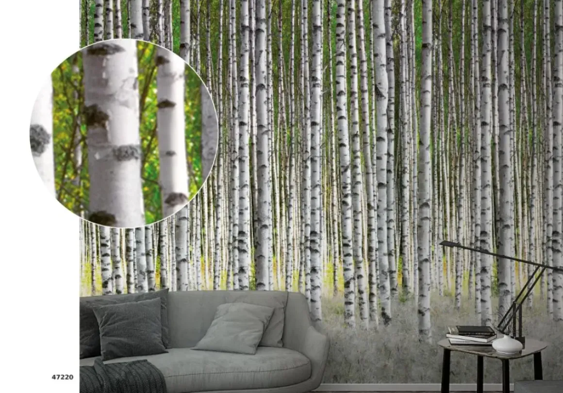 Smart Art Fotobehang Berkenbos