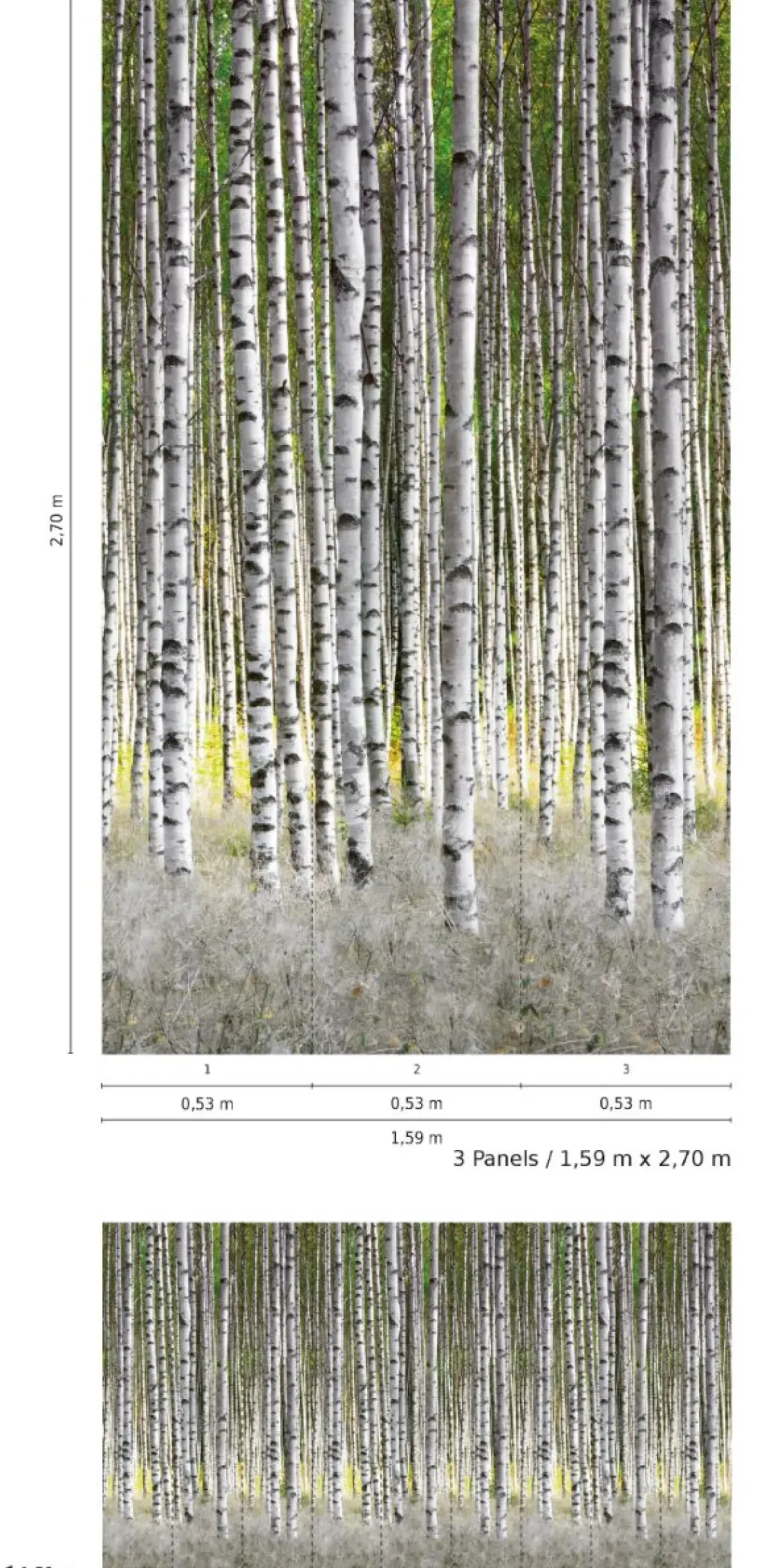 Smart Art Fotobehang Berkenbos