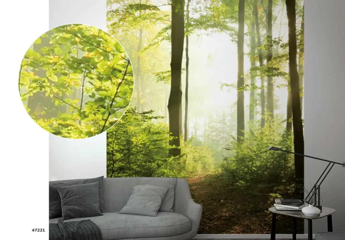 Smart Art Fotobehang Bosweg