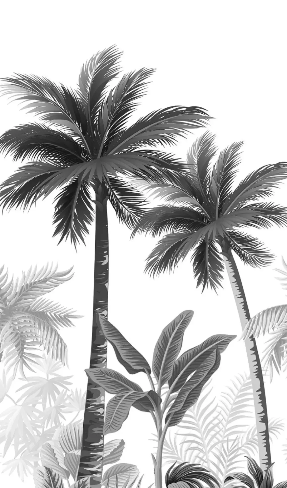 Smart Art Fotobehang Palmbomen