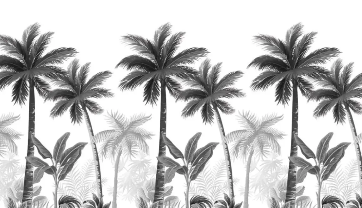 Smart Art Fotobehang Palmbomen