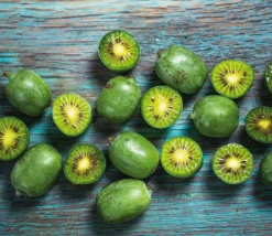 Smoothie Mix - Mix Van 8 - Goji,Cranberry,Bes, Kiwi - Pot 9Cm - Hoogte 25-40Cm