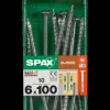 Spax Schroef 'Hi.Force' Wirox 6X100Mm 10 Stuks