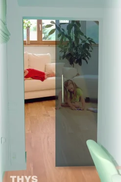 Thys Veiligheidsglas Schuifdeur 'Thytan Sliding' Grijs Gerookt 215X83Cm
