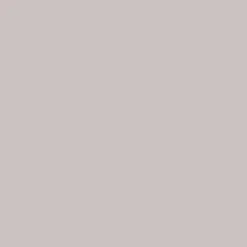 Transform Zelfklevende Decoratiefolie Uni Taupe 45X200Cm