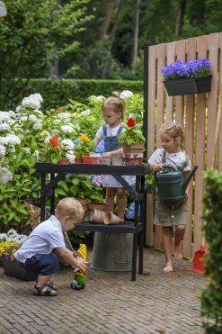 Tuinpaal Zwarte Den 6,8X6,8X270Cm