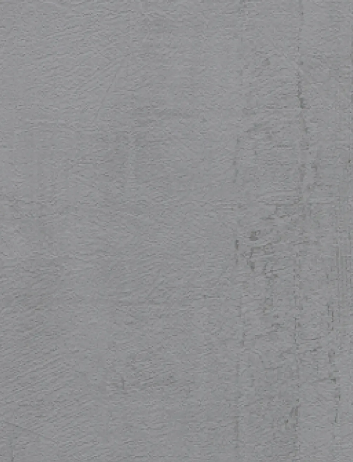 Vinylbehang 'Roma' Donkergrijs 53 Cm X 10 M