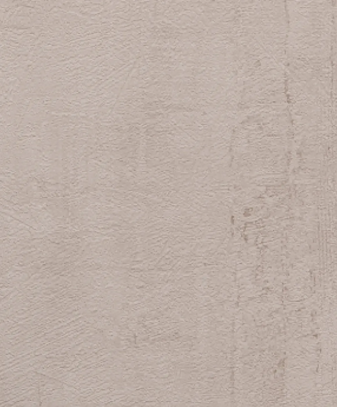 Vinylpapier Roma Taupe Vob008075