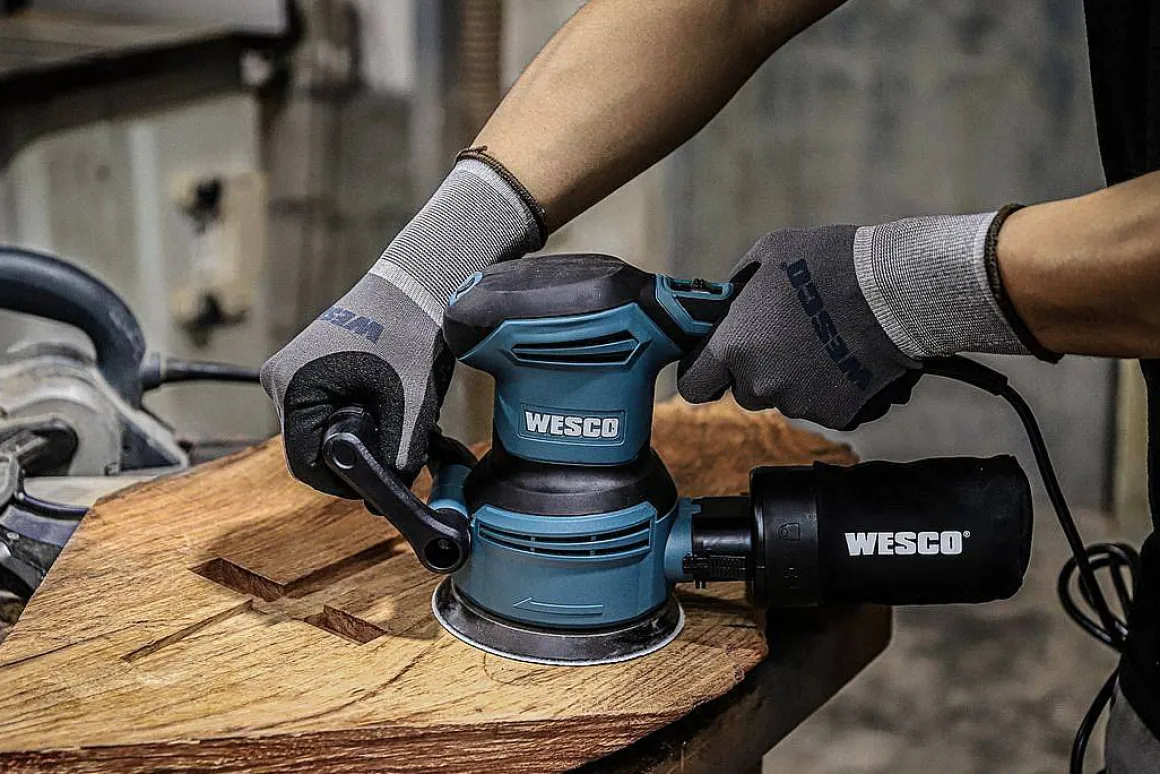 Wesco Excentrische Schuurmachine Ws4258 400W