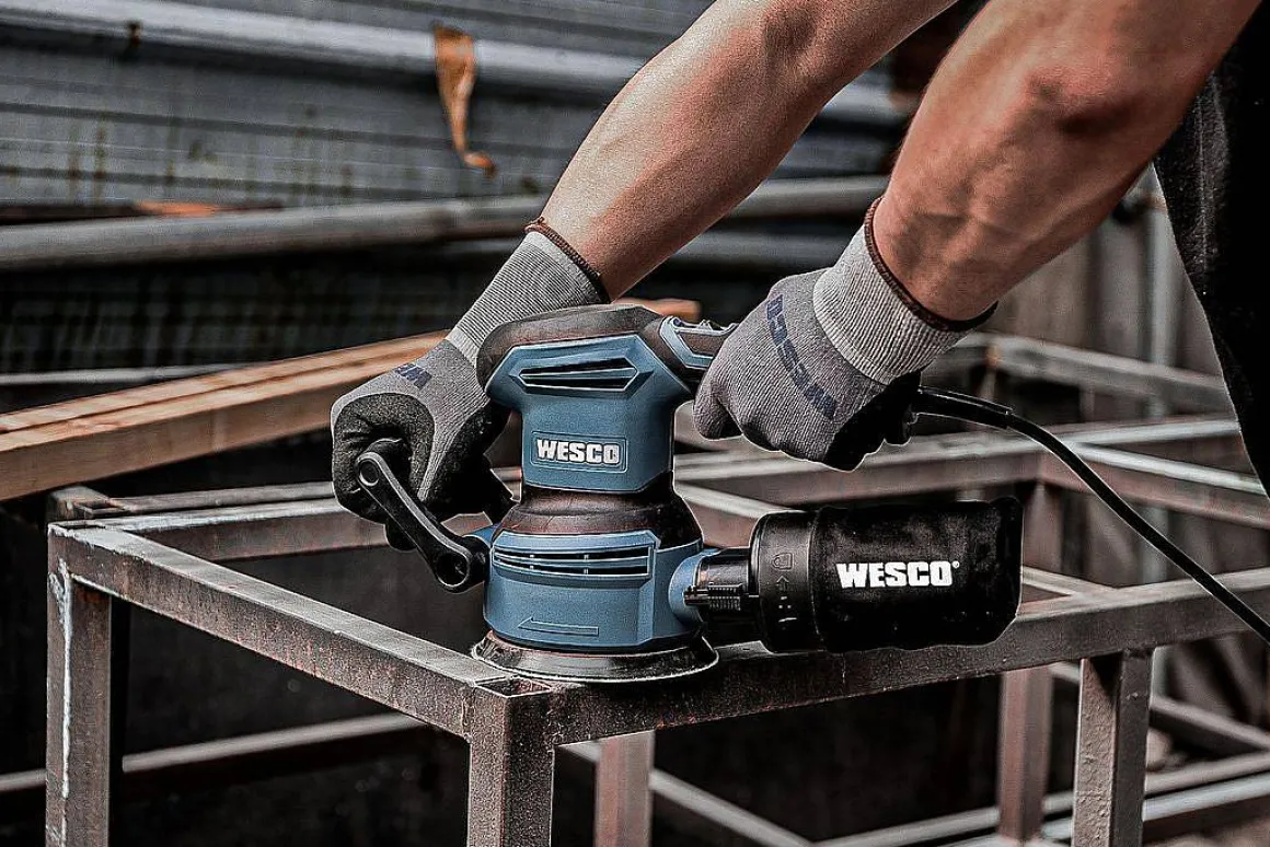 Wesco Excentrische Schuurmachine Ws4258 400W